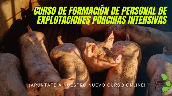 CURSO DE FORMACIÓN DE PERSONAL DE EXPLOTACIONES PORCINAS INTENSIVAS